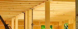 Bauen mit Holz: Natürliches Bauen