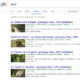 Beispiel Gartenvideos aus der Google Suche