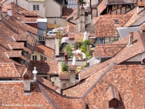 Dachgarten: eine Oase mitten in der Stadt