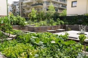 Auch in urbanen Gebieten lassen sich kleine Gärten realisieren