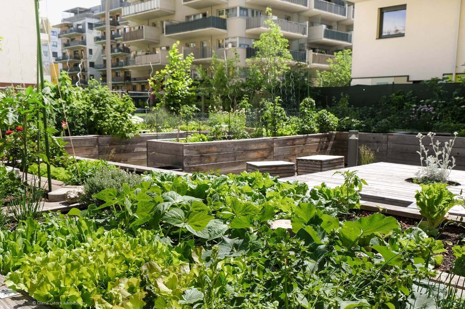 Auch in urbanen Gebieten lassen sich kleine Gärten realisieren