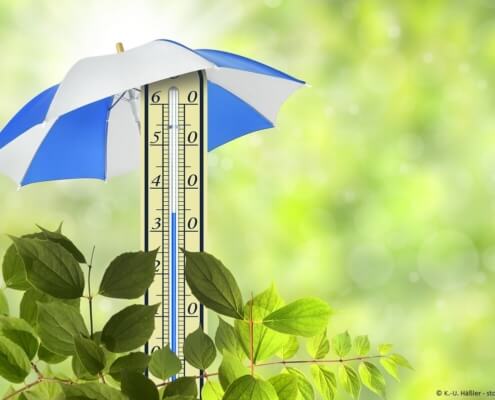 Garten und Klimaveränderung: angepasste Gartengestaltung