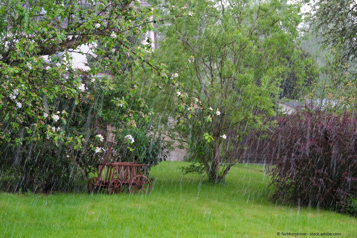 Auch Starkregen sollte bei einer Gartenplanung berücksichtigt werden.