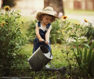 Mensch und Natur: Der Garten bildet die Möglichkeit Respekt vor der Natur zu erlernen
