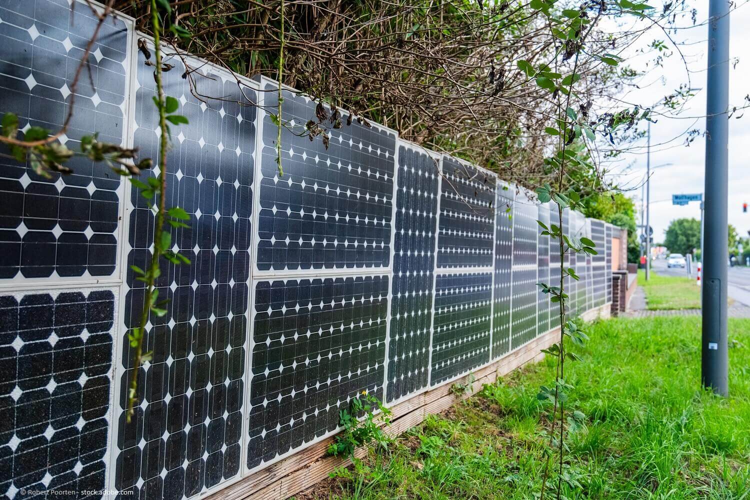 Praktischer Gartensichtschutz: Nicht schön aber nützlich: Solarpanele