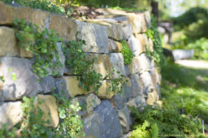Sichtschutz Wand für den Garten aus einer natürlicher Mauer