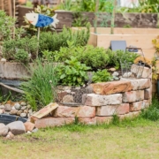 Gartenplanung - Gartenkräuter: beliebt und gesund. Tipps zum Anbau