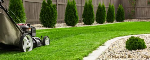Der Gartenbauer kennt die Bedürfnisse der Pflanzen.