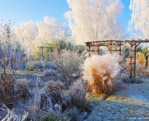 Naturgarten im Winter - pflegebedürftige Natur