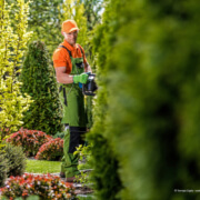 Wann braucht es einen professionellen Gartenbauer?