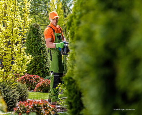 Wann braucht es einen professionellen Gartenbauer?