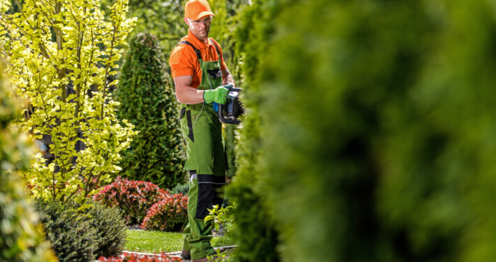 Wann braucht es einen professionellen Gartenbauer?