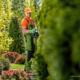 Wann braucht es einen professionellen Gartenbauer?