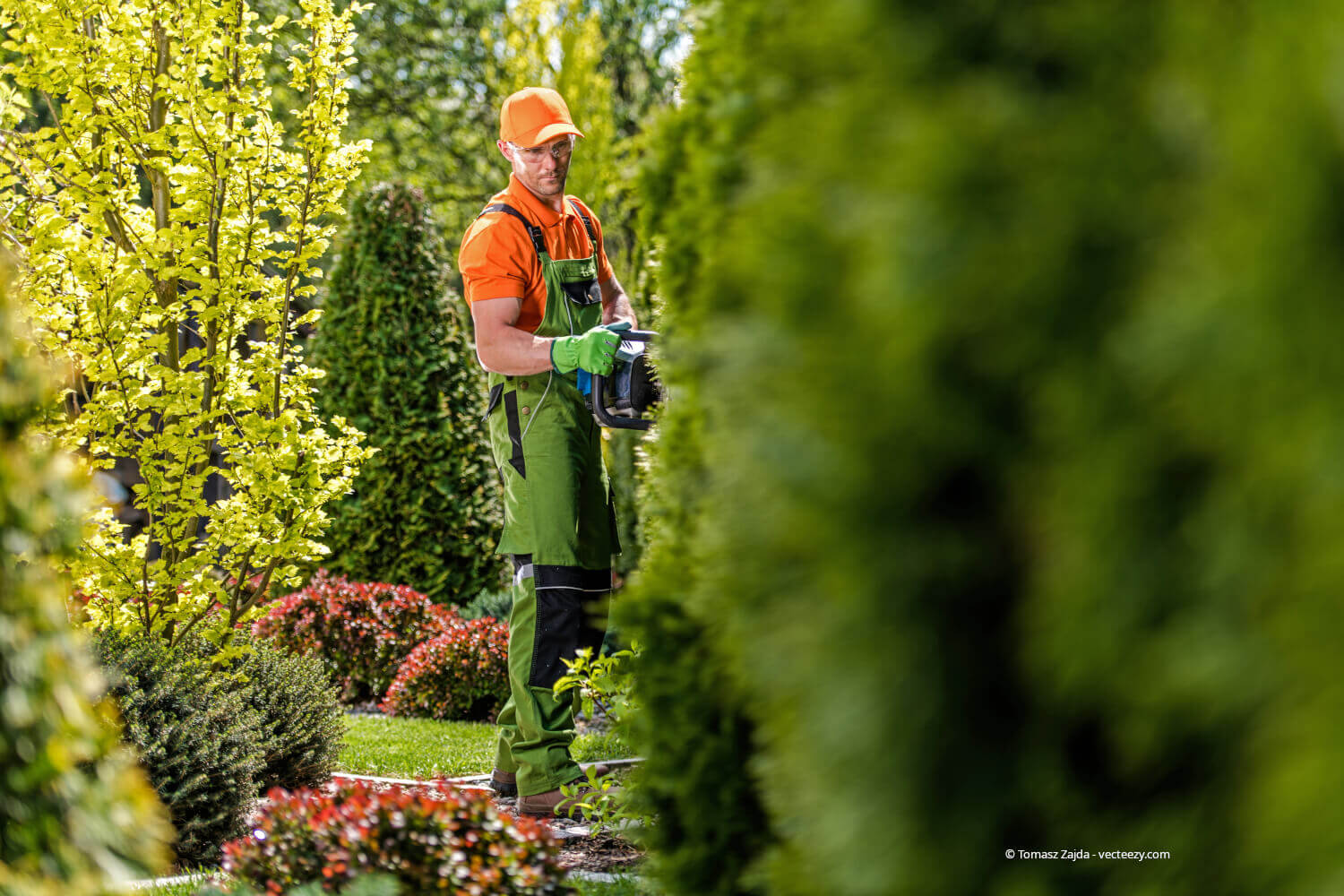 Wann braucht es einen professionellen Gartenbauer?