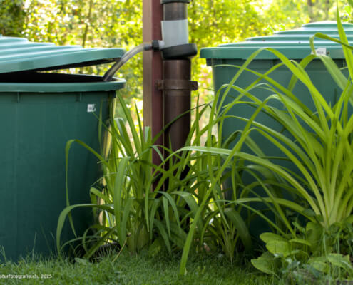 Wassertank im Garten. Ist die eine Tonne voll, kann auf die andere umgestellt werden.